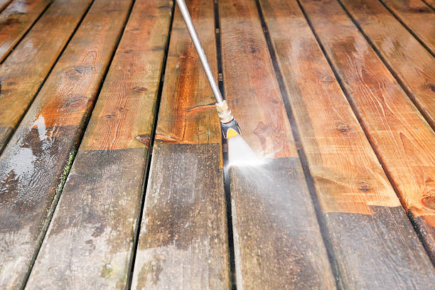 Best Solar Panel Cleaning  in Las Flores, CA